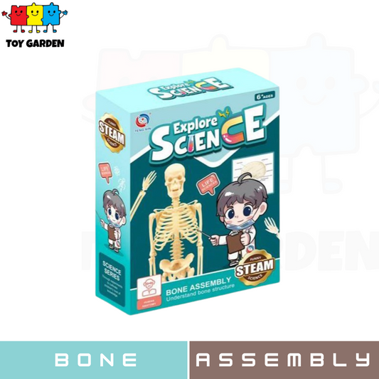 Explore Science Bone Assembly Kit