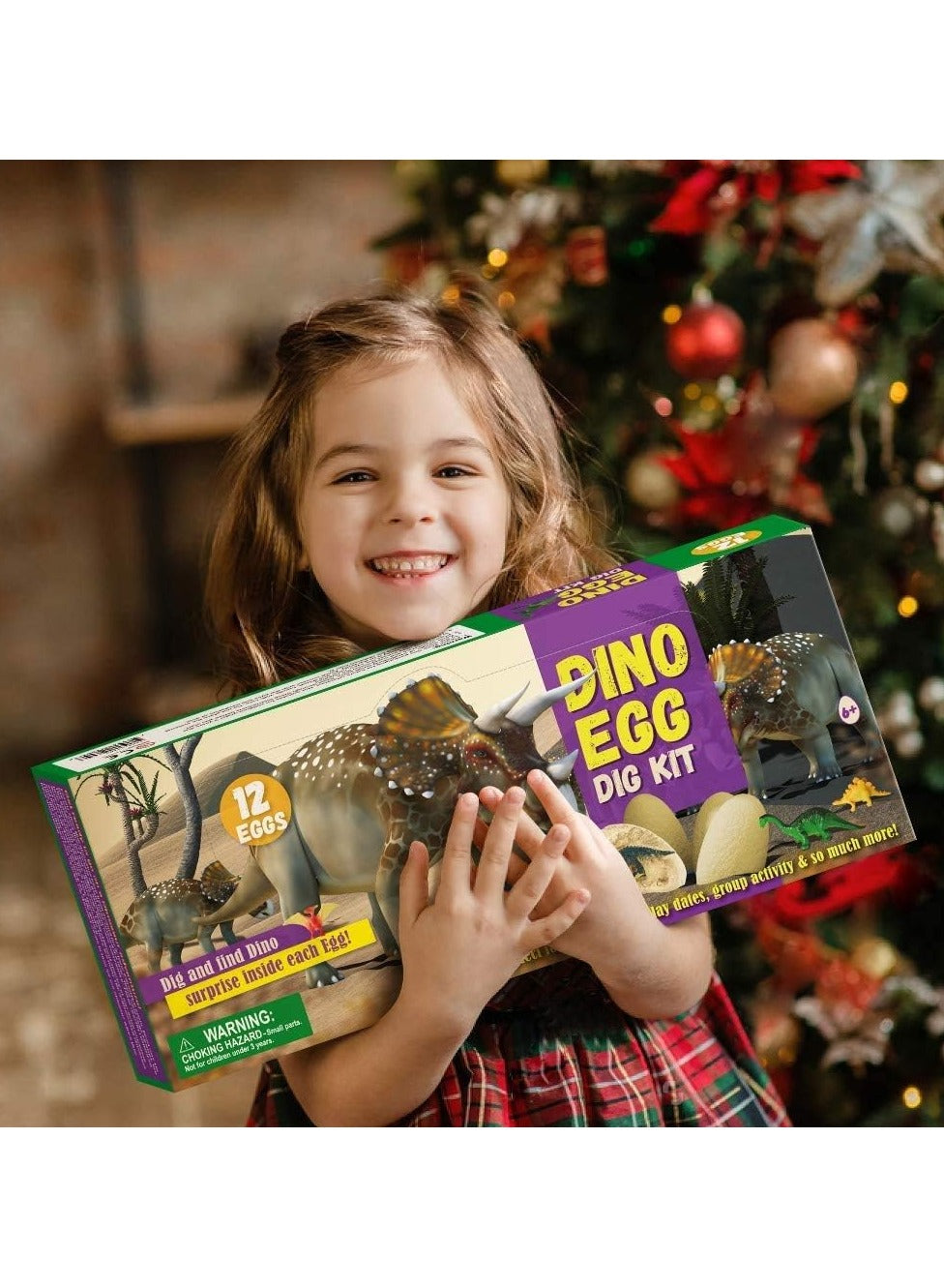 Dinosaur Eggs Dig Kit