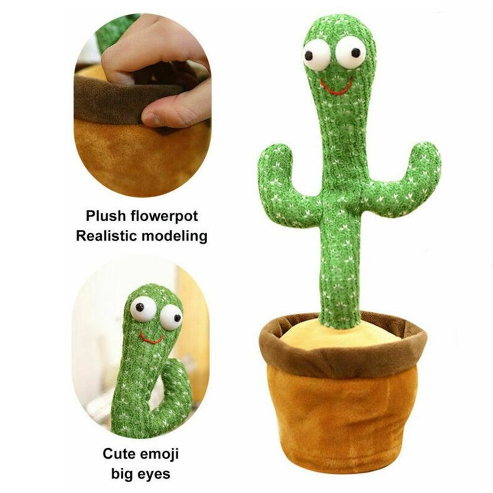 Cactus Toy